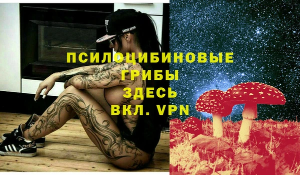 ECSTASY Арсеньев