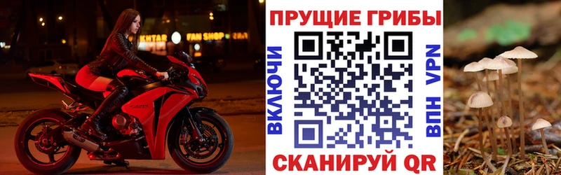 Псилоцибиновые грибы прущие грибы  Тимашёвск 